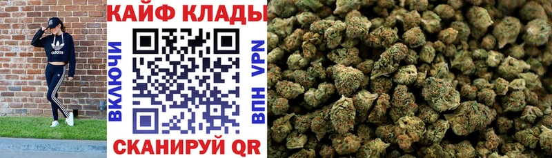 Купить Канабис  Alpha PVP  Гашиш  НБОМе  Псилоцибиновые грибы  Кокаин  МЕФ  Новое Девяткино